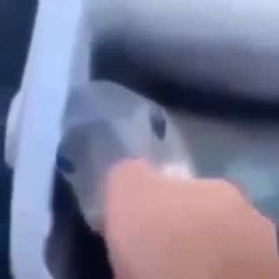 buburubbup