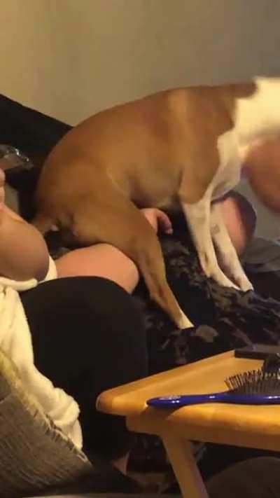 My sister&rsquo;s dog sat on her face