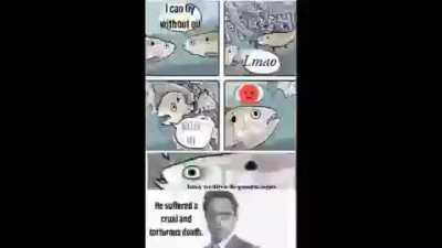 absolute state of meme discords