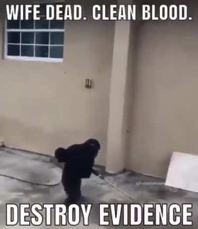 Monkey business