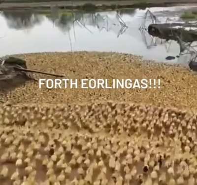 DEEEAAAATH!!!