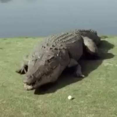 The good ending