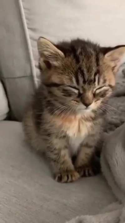 Sleepy boi