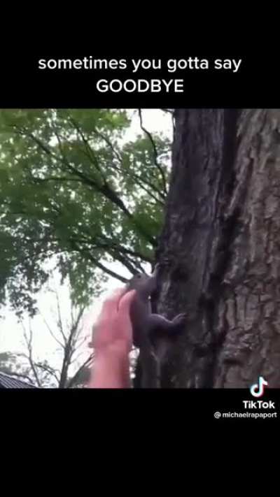 sometimes you gotta let go