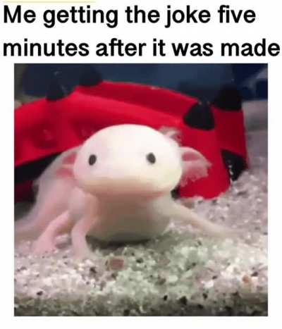 I&rsquo;m just slow