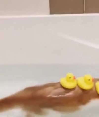Cat's bathtub time was made more exciting with some rubber duckies