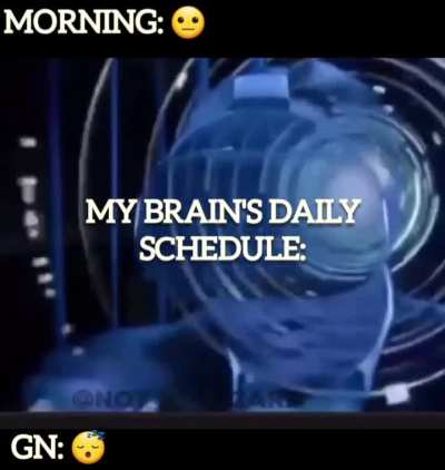 Morning till night