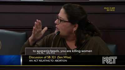 KY State Senator Dr. Karen Berg explains fetal development to her colleagues