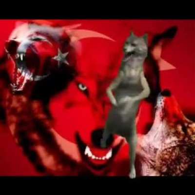 G&uuml;nl&uuml;k doz alalım. Auuuu