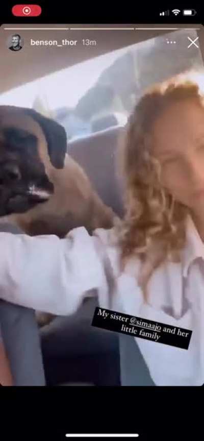 Car ride with a cute pup! What could go wrong