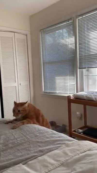 Oh lawd he flyin&rsquo;