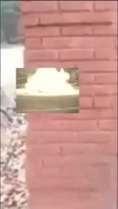 Si
