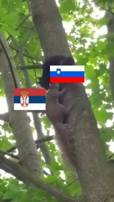 Best Friends 🏳️&zwj;🌈🇸🇮&hearts;️🇷🇸🏳️&zwj;🌈&hearts;️🌈