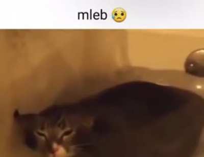 mleb😥