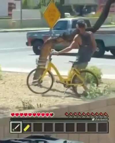 Minecraft