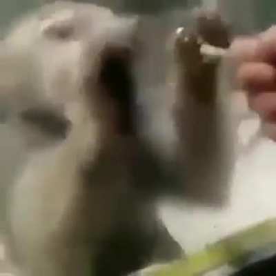 A un mexicano no le dan despensa 😭👌