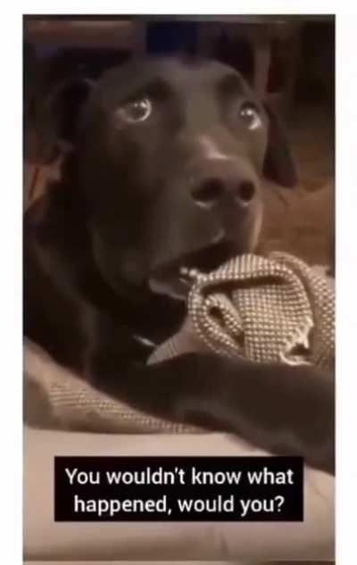 I think he knows something