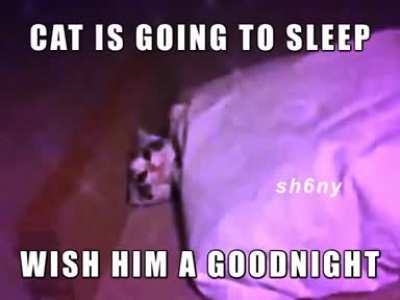 sleep time