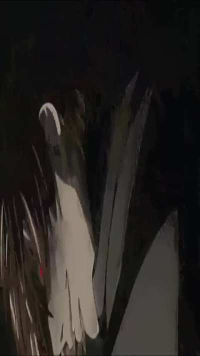 Edit I made!