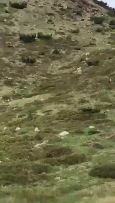 Don&rsquo;t. Run.