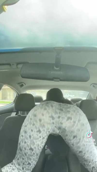 BACKSEAT LOVE