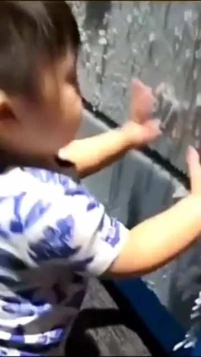 Little Timmy did NOT see that coming