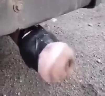 Please don't