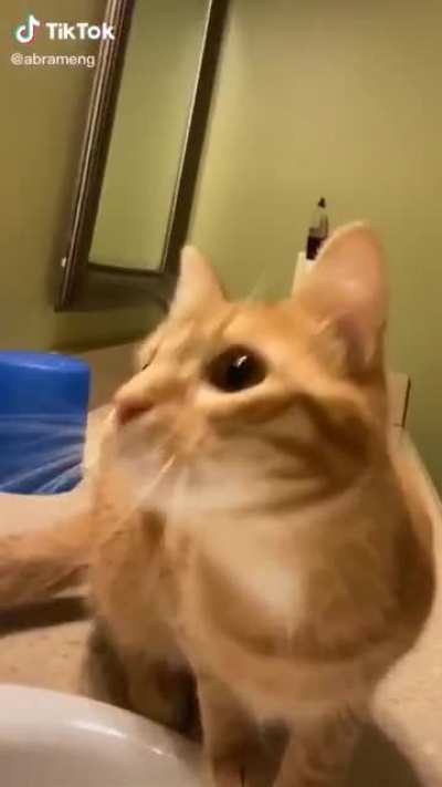 Laser pointer
