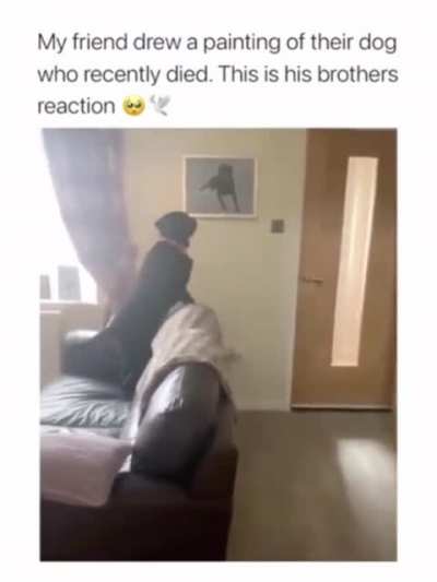 I don&rsquo;t know if this fits the sub or not. Sorry if it doesn&rsquo;t.