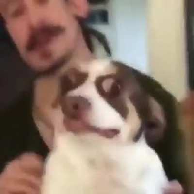 Good boy Mister Bubz