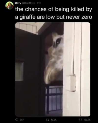 rule was murdered