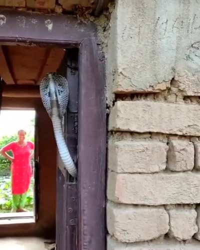 &ldquo;You sssssshall not passsss!&rdquo;