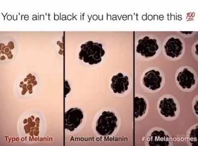 It&rsquo;s true tho
