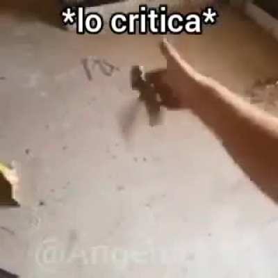 Dylan con el frydai naigt punkin be like: