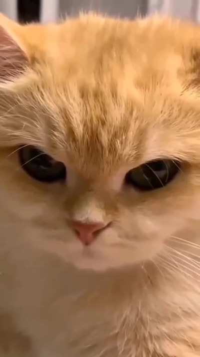 Why don't you feed me instead of holding my hand