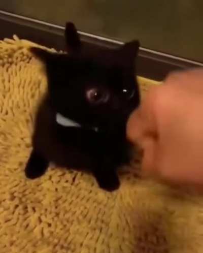 Smol but deadly