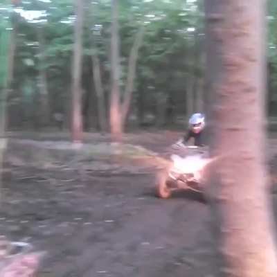 WCGW tapping dead Wood