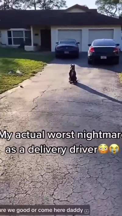 Is he a good boy?