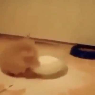 Me