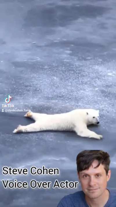 John Mulaney as Richard Kind as a Polar Bear