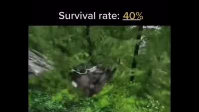 I&rsquo;d survive that 🔊❌