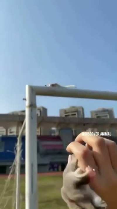 Weeeee