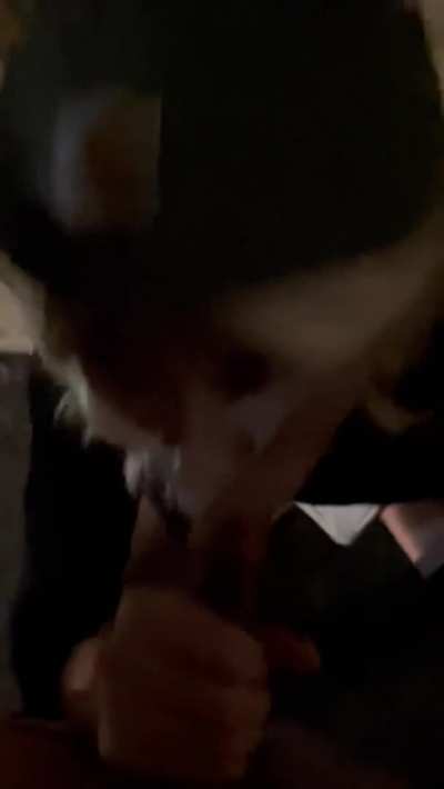 My first BBC. He claimed me as his property by sucking his cock while on a leash