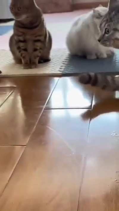 When you hit your younger sibling 