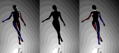 The spinning girl illusion but with some lines to help you change the direction she is spinning.
