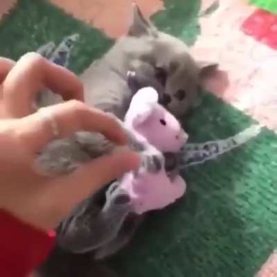 No, It's mine