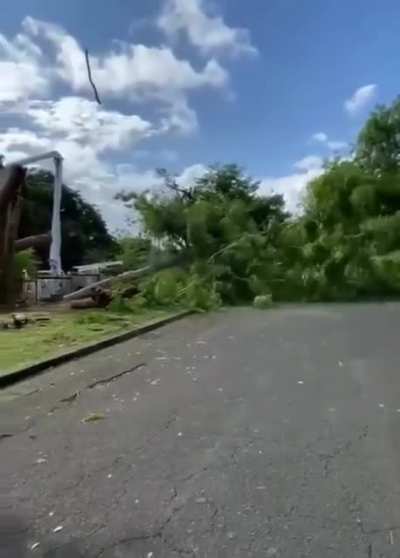 Tree cutting gone wrong