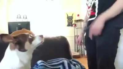 Mister Bubz gets BUSTED