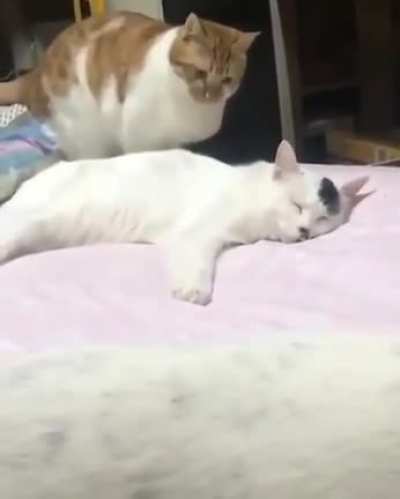 I'm awake and you are happily sleeping