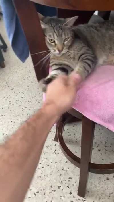 Leave me alone, that&rsquo;s it!!! Nom*